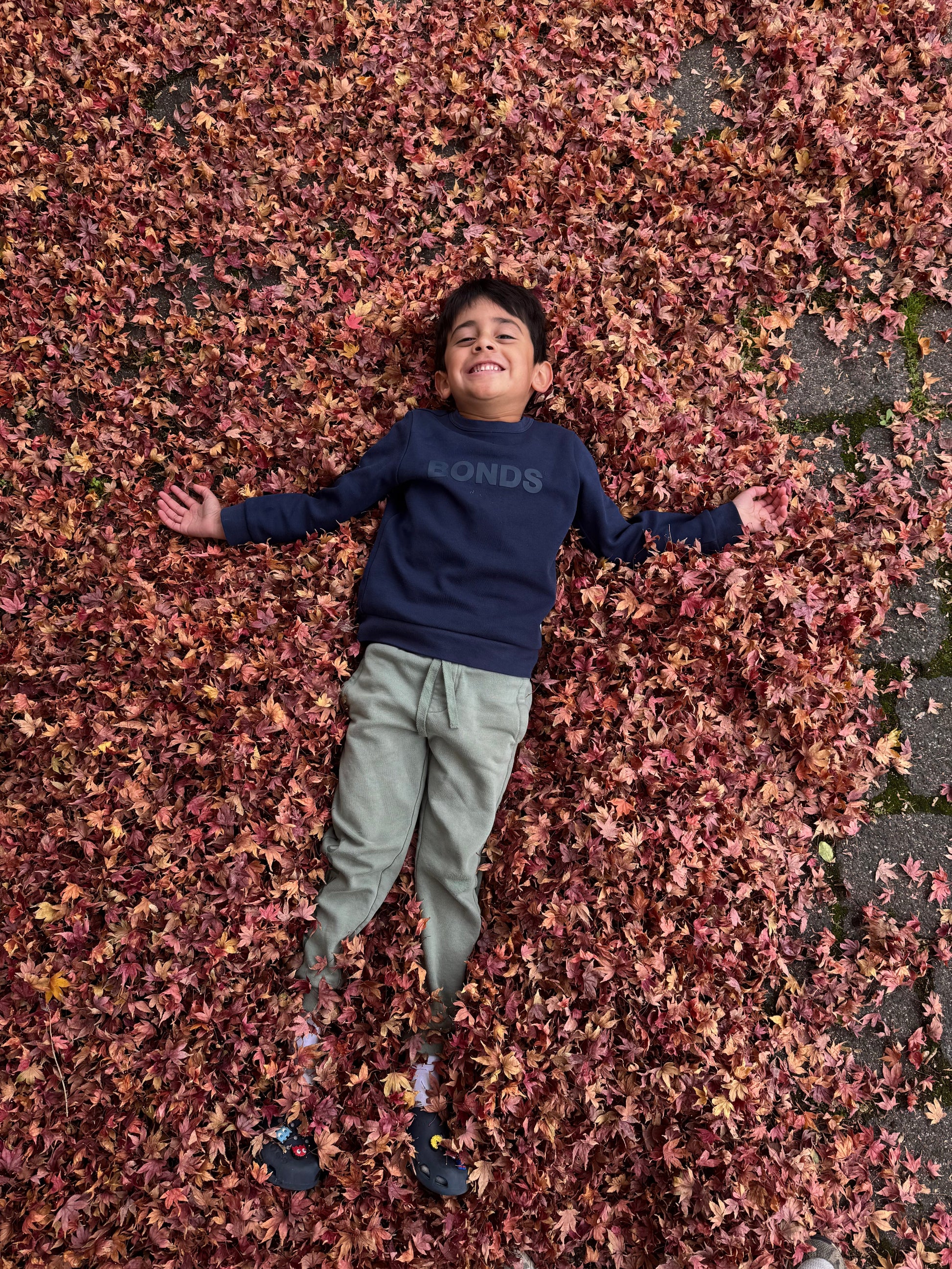 Child lying on a bed of autumn leaves
