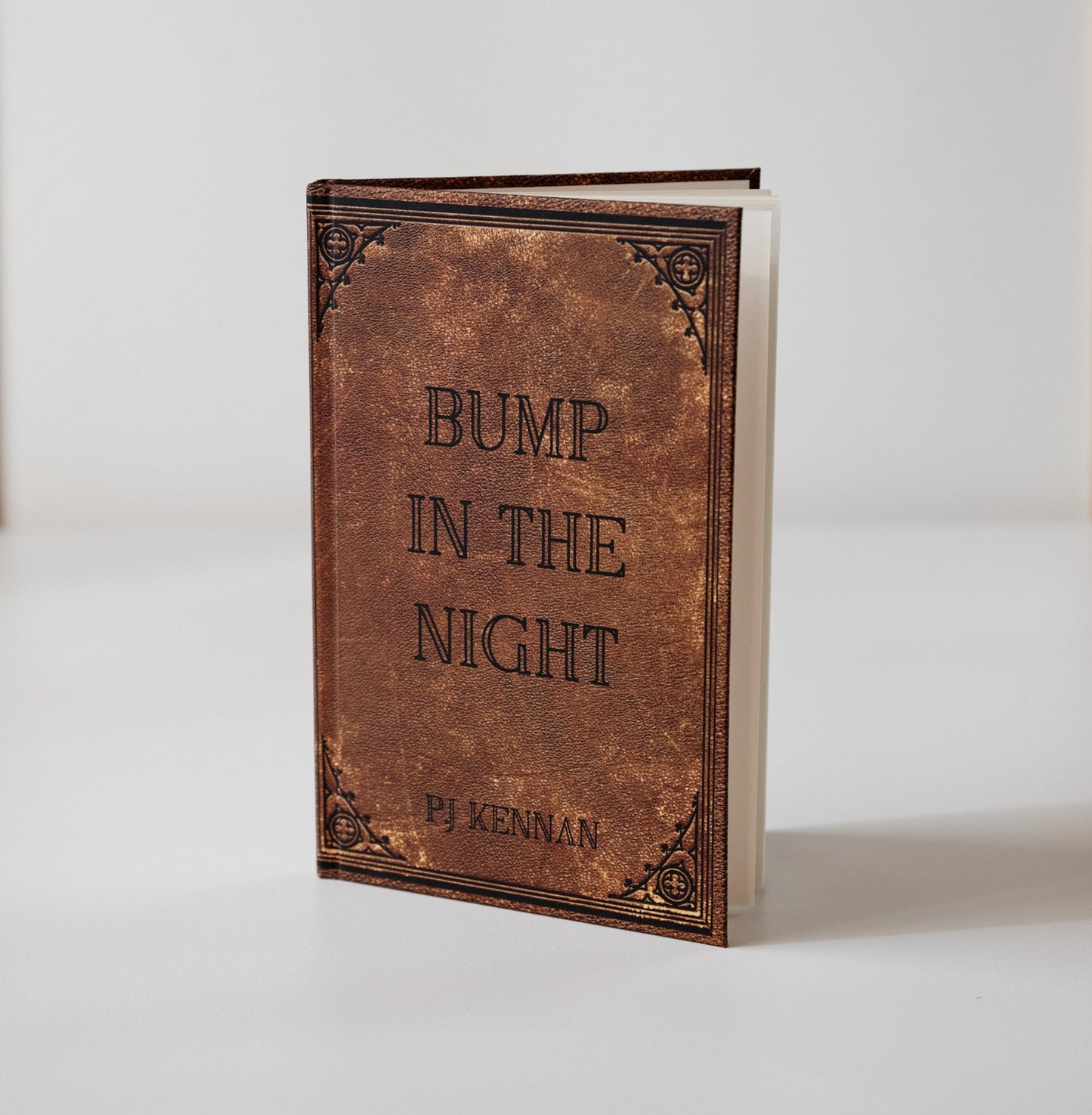 Image of book standing on a white background